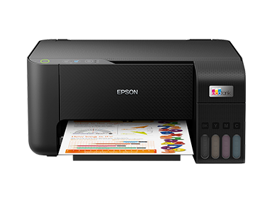 Epson Printer 3210